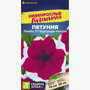 Петуния Лимбо Бургунди пикоти/Сем Алт/цп 7 шт. Низкорослые гиганты