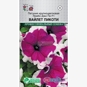 Петуния ЛИМБО Джи Пи Вайлет Пикоти (10 драже) крупноцветковая/ HG/ Евросемена