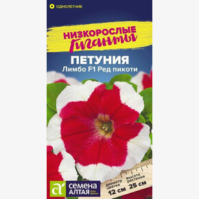 Петуния Лимбо Ред пикоти/Сем Алт/цп 10 шт. Низкорослые гиганты