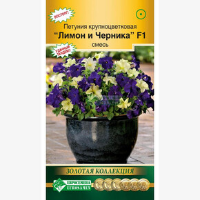 Петуния Лимон и Черника/ Евросемена