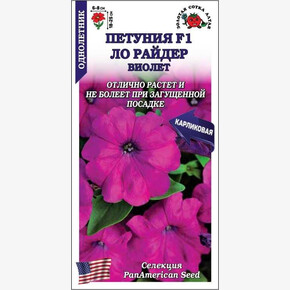 Петуния Ло Райдер Виолет /Сотка/ 10шт