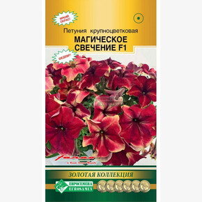 Петуния МАГИЧЕСКОЕ СВЕЧЕНИЕ (5 драже)/ Евросемена