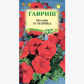 Петуния Марика / Гавриш