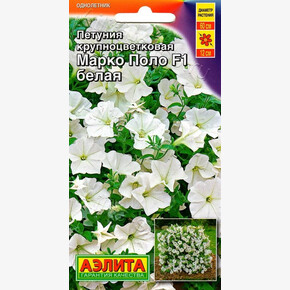 Петуния Марко Поло белая 7шт/ Аэлита