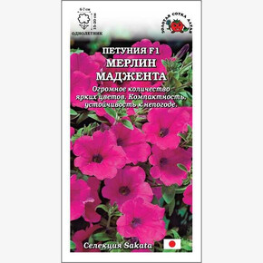 Петуния Мерлин Маджента F1 /Сотка/ 10шт/ фуксия h-20см d-7см/*500
