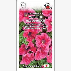Петуния Мерлин Плам Вейн /Сотка/ 10шт