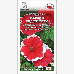 Петуния Мерлин Ред Пикоти F1 /Сотка/ 10шт/ красно-бел. h-15-20см d-6-7см Sakata/*500