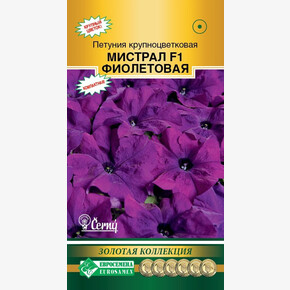 Петуния Мистрал Фиолетовая F1/ Евросемена