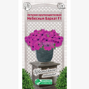 Петуния НЕБЕСНЫЙ БАРХАТ 10 шт/ Евросемена