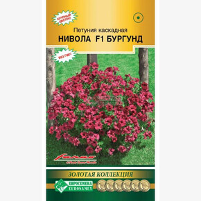 Петуния Нивола Бургунд (5 драже)/ Евросемена