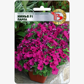 Петуния Нинья Парпл каскадная мелкоцветковая /Биотехника/5шт