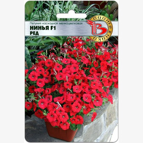 Петуния Нинья Ред каскадная мелкоцветковая /Биотехника/5шт