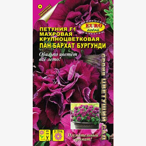 Петуния Пан-бархат Бургунди 5шт/ Аэлита Экстра