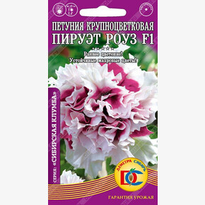 Петуния Пируэт РОУЗ F1 /10 шт Дем Сиб/
