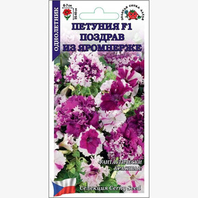 Петуния Поздравление из Яромнерже F1 /Сотка/ бахром. смесь 10шт/ h-40см d-7см/*500