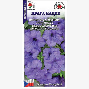 Петуния Прага Надее F1 /Сотка/ 10шт/ голуб. h-45см d-10см/*500