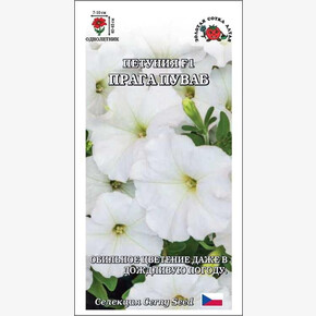 Петуния Прага Пуваб F1 /Сотка/ 10шт/ бел. h-45см d-10см/*500