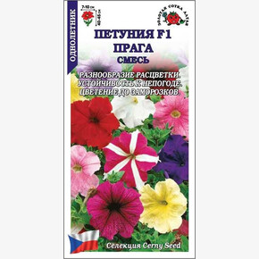 Петуния Прага смесь F1 /Сотка/ 10шт/ h-40-45см d-7-10см /*500