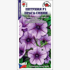 Петуния Прага Снени /Сотка/ 10шт/ светл-фиолет с пржил. h-45см d-10см Gerny/*500