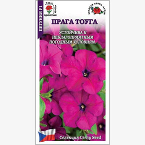 Петуния Прага Тоуга F1 /Сотка/ 10шт/ фуксия h-45см d-10см/ *500