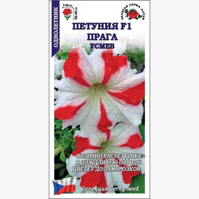Петуния Прага Усмев F1 /Сотка/ 10шт/ красн. с бел.h-45см d-10см /*500