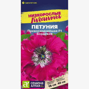 Петуния Превосходнейшая Бордовая/Семена Алтая/цп 7 шт. Низкорослые гиганты (2029 / 42518)