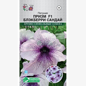 Петуния ПРИЗМ БЛЕКБЕРРИ САНДАЙ 8 драже/ Евросемена