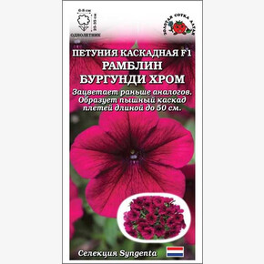 Петуния Рамблин Бургунди Хром F1 /Сотка/ 5шт/ вишнев. h-35см d-8см Synergenta