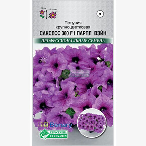 Петуния САКСЕСС 360 Парпл Вэйн (10 драже)/ Евросемена