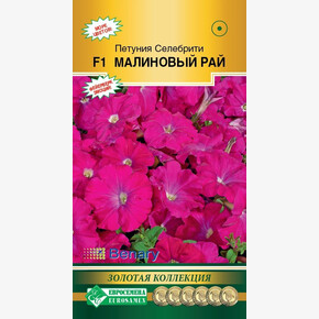 Петуния Селибрити Малиновый Рай/ Евросемена