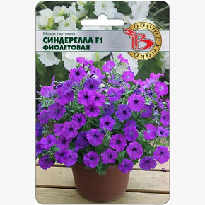 Петуния Синдерелла Фиолетовая/ Биотехника