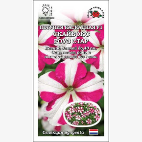 Петуния Скайбокс Роуз Стар /Сотка/ 5шт