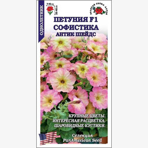 Петуния Софистика Антик Шейдс/ Сотка