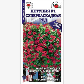 Петуния Супер Ред/ Сотка