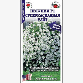 Петуния Супер Уайт F1 /Сотка/ 10шт/ бел. h-45см d-13см PanAm/*500