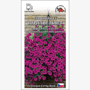 Петуния Сурфиния Парпл Вельвет/ Сотка