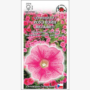 Петуния Сурфиния Роуз Вэйн Вельвет/ Сотка