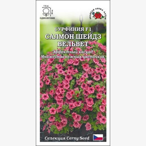 Петуния Сурфиния Салмон Шейдз Вельвет/ Сотка