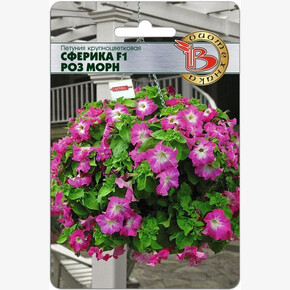 Петуния Сферика Роз Морн /Биотехника/