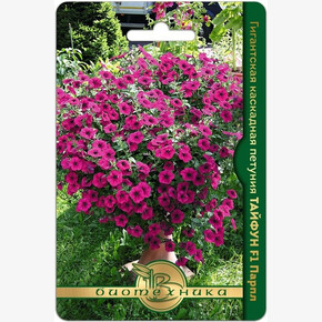 Петуния Тайфун Парпл каскад/ Биотехника