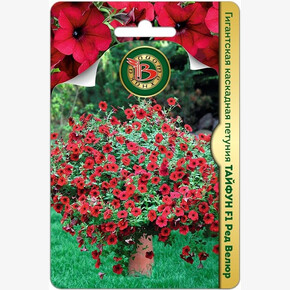 Петуния Тайфун Ред Велюр/ Биотехника 5шт