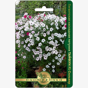 Петуния Тайфун Сильвер / Биотехника