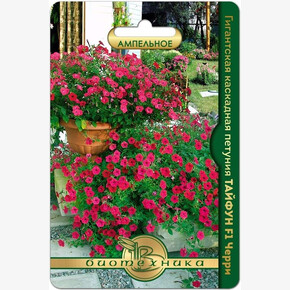 Петуния Тайфун Черри / Биотехника