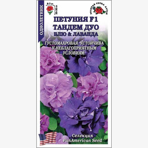 Петуния Тандем Дуо блу энд Лаванда /Сотка/ 10 шт / h - 20-30 см. D - 6-7 cм