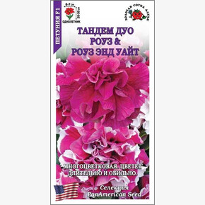 Петуния Тандем Дуо роуз энд Роуз энд уайт /Сотка/ 10 шт. / H - 20-30 см. D - 6-7 см.
