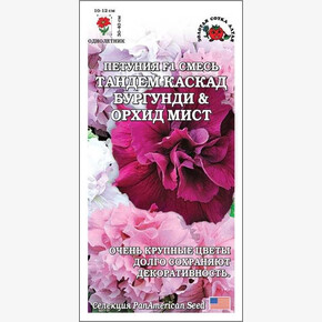 Петуния Тандем Каскад бургунди энд Орхид мист /Сотка/ 10 шт / H- 30-40cм. D - 10-12 см.