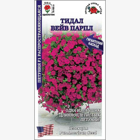 Петуния Тидал вейв Парпл/ Сотка