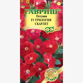 Петуния Трилогия Скарлет амп, 4 шт Элитная клумба/ Гавриш