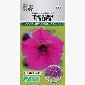 Петуния Трилоджи Парпл (3 драже) /Takii/ Евросемена