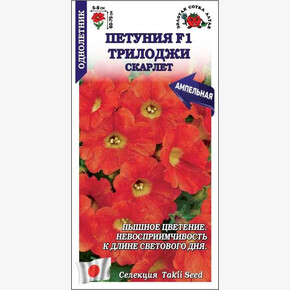 Петуния Трилоджи Скарлет F1 /Сотка/ 5 шт/*500